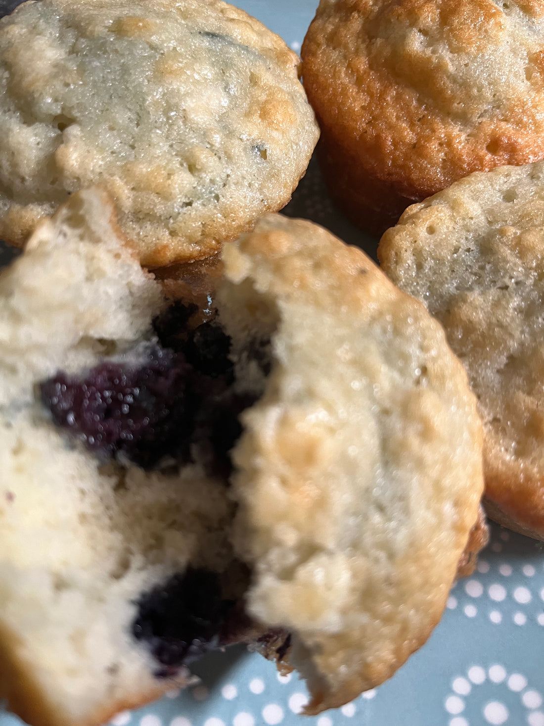 Blueberry Muffins